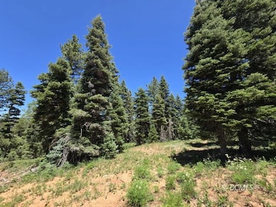 855 W Big Horn Cir, Duck Creek Village, UT 84762 - photo 3