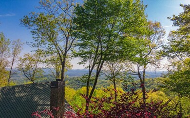 Additional View