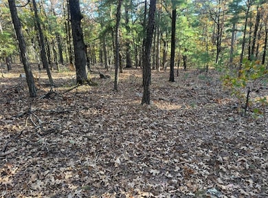 TBD Bengal Rd, Talihina, OK 74571 - photo 2