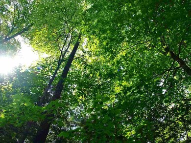 Lot 8.3 Cyr, Bethlehem, NH 03574 - photo 4