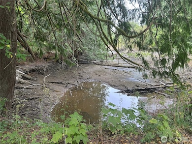 19401 Whiteman Cove Rd SW, Longbranch, WA 98351 - photo 5