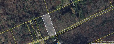 00 Bradshaw GIS image