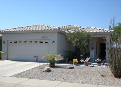 Front View