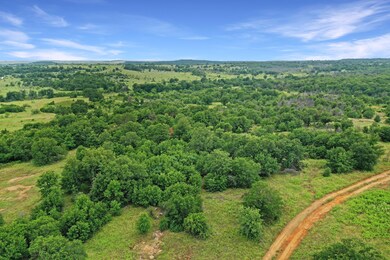 215 Acres unit East Truce Road, Bowie, TX 76230 - photo 5