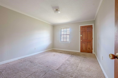 Unfurnished room featuring ornamental molding, carpet, and a textured ceiling