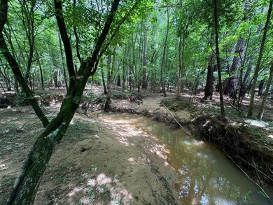 View of undeveloped land