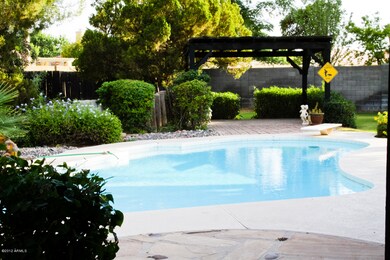 Sparkling diving pool from the patio