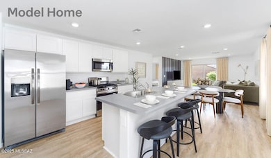 10041 N Bakeri Dr, Marana, AZ 85653 - photo 6