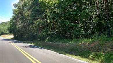 00 Dennis Mill Rd, Chatsworth, GA 30705 - photo 3