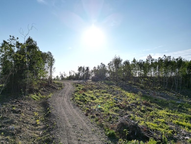 DJI_0945