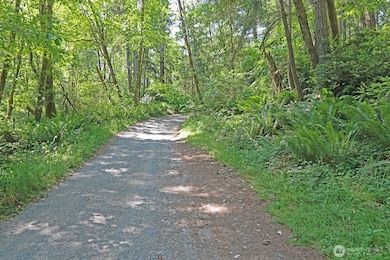 20825 Old Mill Rd SW, Vashon, WA 98070 - photo 2