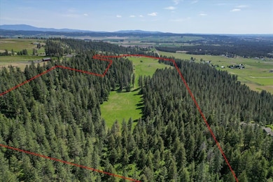 17323 N Lower Greenbluff Rd, Colbert, WA 99005 - photo 3