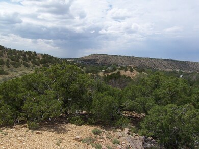 20 Paseo de San Antonio Rd, Placitas, NM 87043 - photo 5