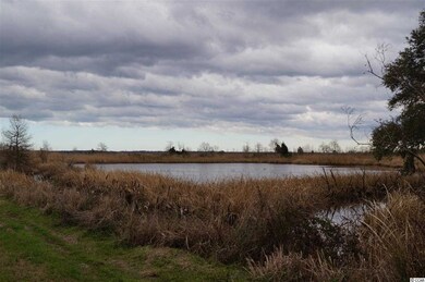 159 Acres Windsor Green Way unit Pig Pen Tract, Georgetown, SC 29440 - photo 6