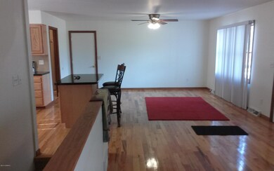 1450 W Charles Rd, Ionia, MI 48846 - photo 6