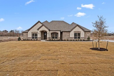 1009 Alex Dr, Springtown, TX 76082 - photo 4