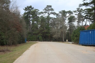 11802 Tara Plantation Dr, Tomball, TX 77375 - photo 4