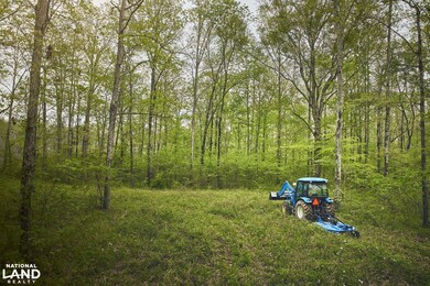 1444 Co Rd 441, Wilsonville, AL 35186 - photo 6