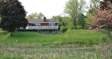 IMG_8402 - Copy