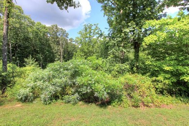 4517 Eagle View (6)