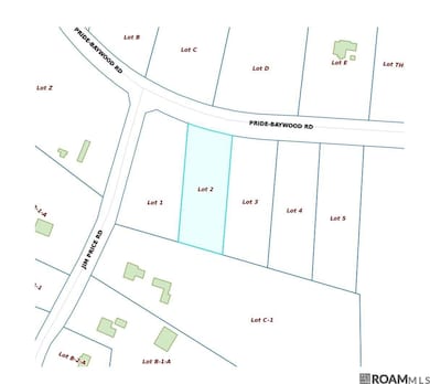 TBD Tract 2 Pride-Baywood Rd, Pride, LA 70770 - photo 2