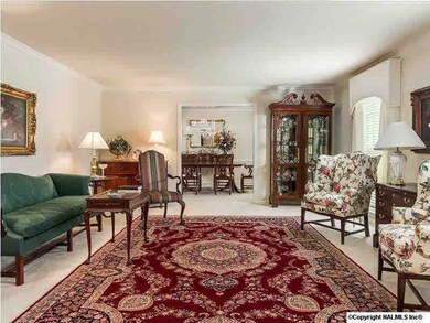 King sized living room with so-clean-you-could-eat-off-of-it carpeting, 2