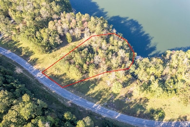 Lot 16 Sipsey Overlook Dr, Double Springs, AL 35553 - photo 2