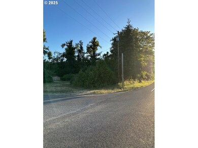 78412 Snauer Ln, Cottage Grove, OR 97424 - photo 5