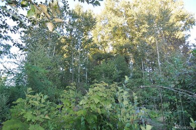 8 Garfield St, Sumas, WA 98295 - photo 4