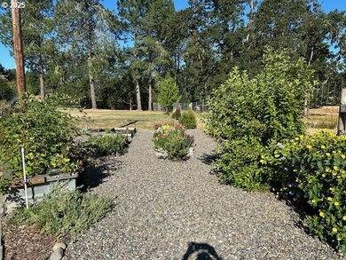 524 Azalea Dr, Elkton, OR 97436 - photo 5