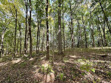 2443 140th St, Galesburg, IL 61401 - photo 5