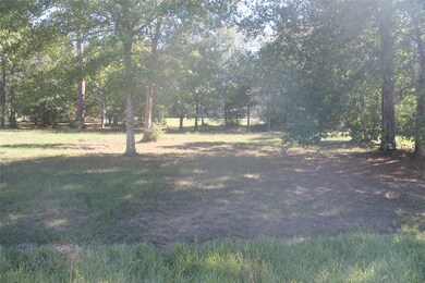 Blk 4 Lt 4 Brady St, Magnolia, TX 77355 - photo 3