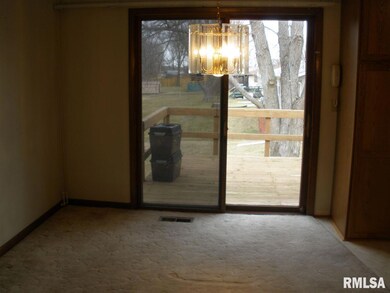 23 Crestview Dr, Geneseo, IL 61254 - photo 7