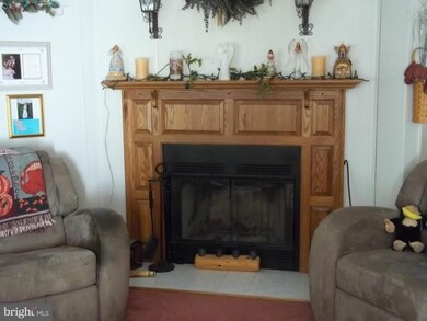 70 Robinwood Way, Augusta, WV 26704 - photo 4