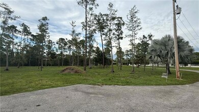 4395 18th St NE, Naples, FL 34120 - photo 4