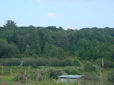 0 Crow Hill Rd unit 17-3704, Dallas, PA 18612 - photo 4