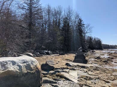 PXL_20210403_151204919