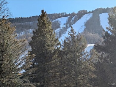 SKI SIDE VIEW