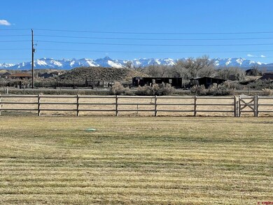 Fabulous views of the San Juan Mountain range from the south yard patio