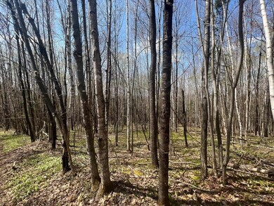 - Back Farm Rd, Clarksville, NH 03592 - photo 5