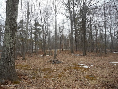 120 Primrose Ln, Milford, PA 18337 - photo 6