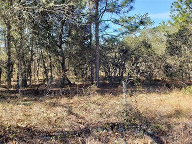 Lot 12 SW Persimmon Ln, Dunnellon, FL 34431 - photo 2