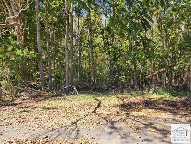 0 Turner Ashby Rd, Chatmoss, VA 24112 - photo 4