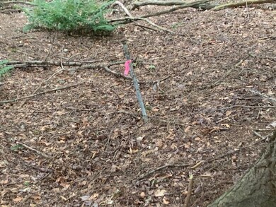 Land is fairly well marked with survey tape and pi