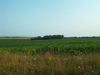 TBD N Scheider Rd, Freeport, IL 61032 - photo 4