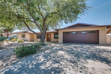 Ivyglen-3