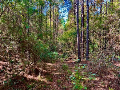 0 Old Salt Rd unit LotWP001, Sumrall, MS 39482 - photo 6