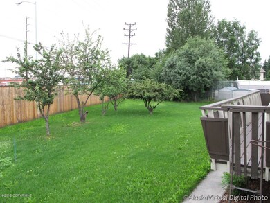 Back Yard 3