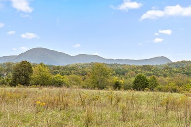 0 Georgia 286, Chatsworth, GA 30705 - photo 4