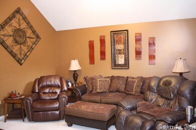 Vaulted Ceiling in Living Room